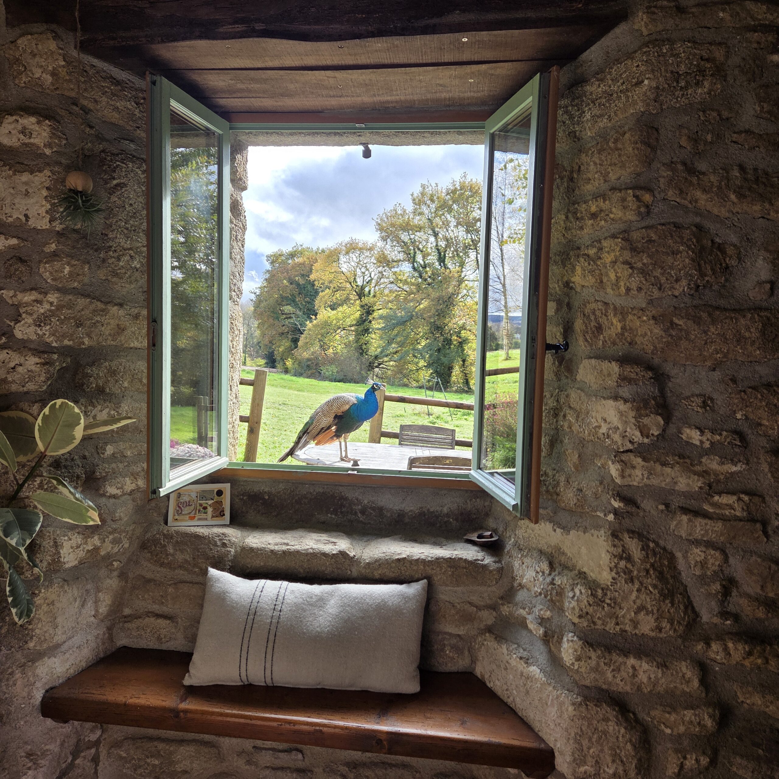 gaelleeven-aumurmuredufresne-yogabretagne-retraiteyogabretagne (1)